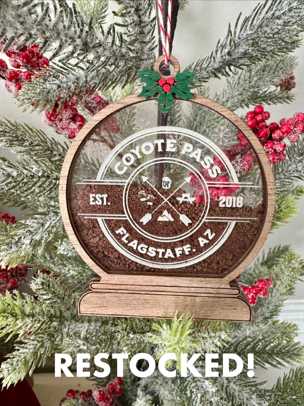 *LIMITED EDITION* Coyote Pass Dirt - Snow Globe Ornament