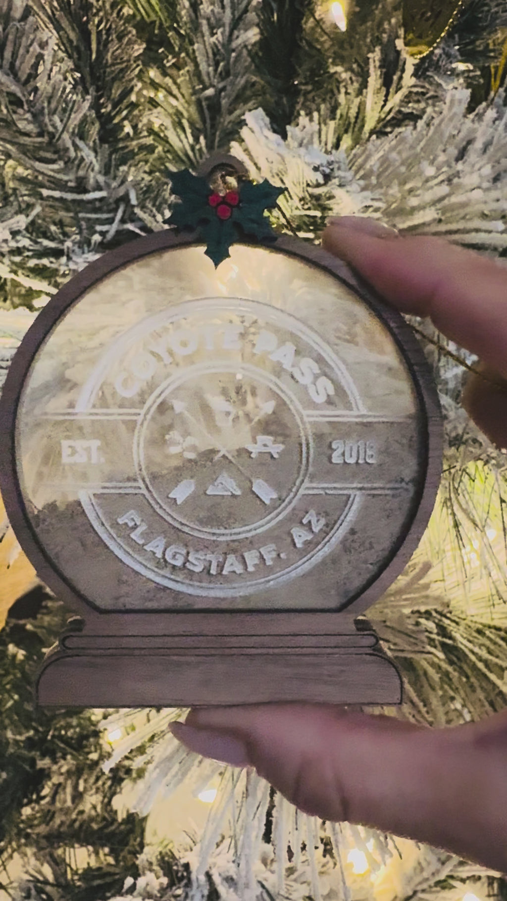 *LIMITED EDITION* Coyote Pass Dirt - Snow Globe Ornament